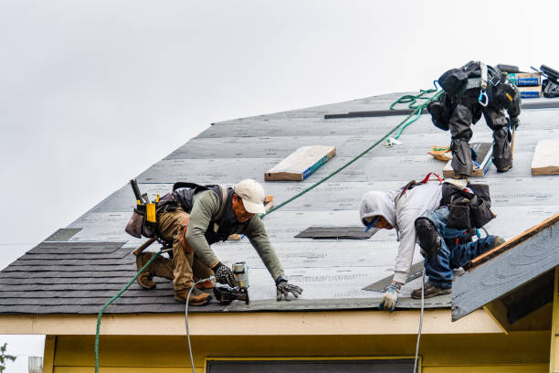 Professional Storm Damage Roof Repair technician working in Brownstown, PA